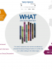 Infographic: Overview of the OSCE Survey on the Well-being and Safety of Women (OSCE)